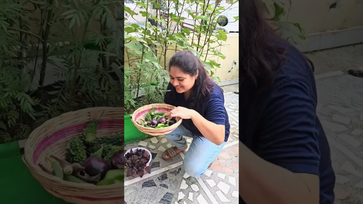 Homegrown Veggies Harvest That Taste Better Than Market! 🌱✅️ Zero Chemicals🍃 #organicharvest #garden