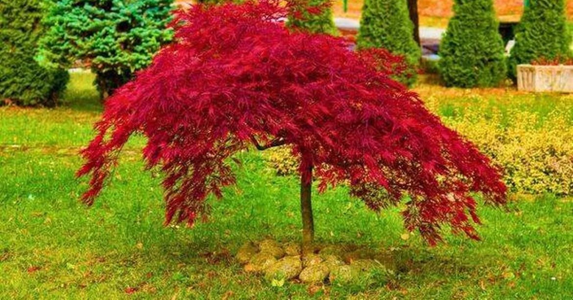 Nottinghamshire Live