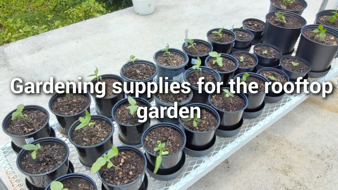 Gardening supplies for rooftop garden
