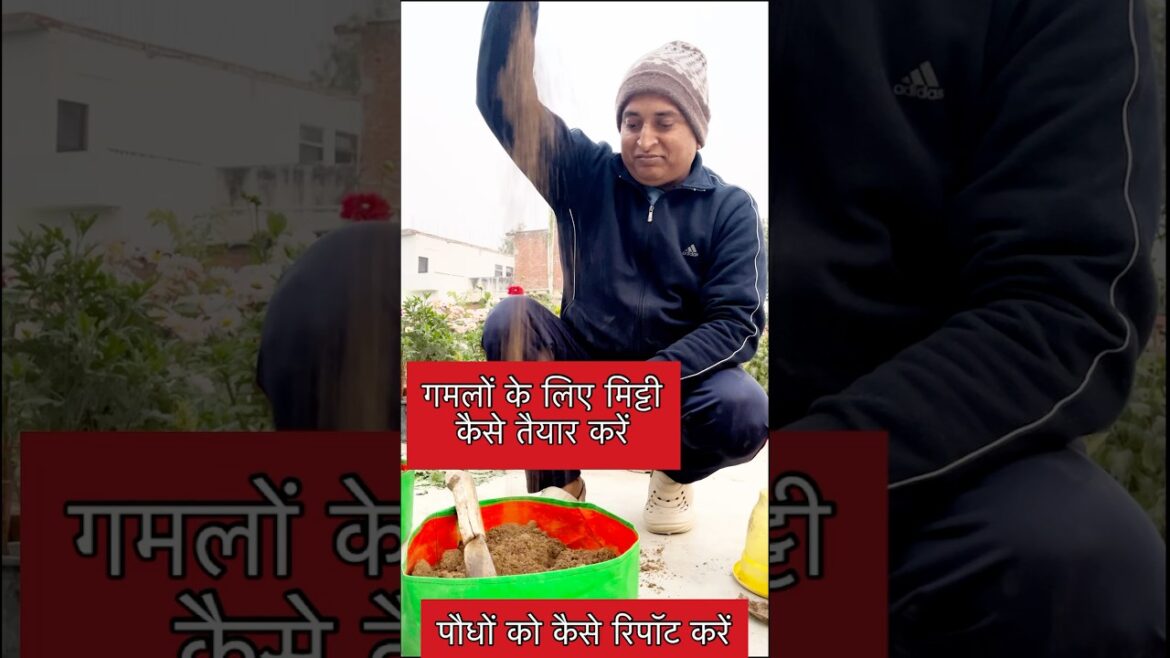 गमलों के लिए मिट्टी कैसे तैयार करें #garden #plants #repotting #soilmix #gardening #shorts #short