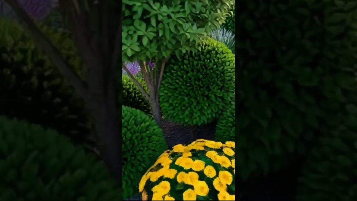 Where to find inspiration for garden design. #shorts Where to find inspiration for garden design. #shorts