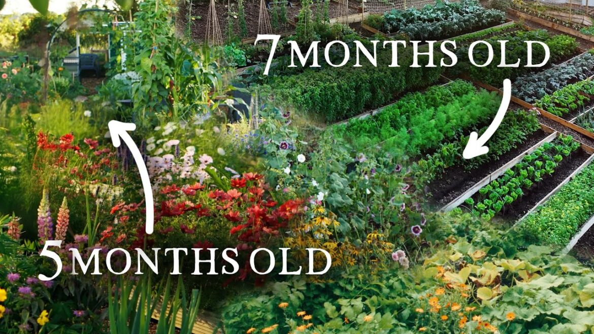 7 Amazing New Kitchen Gardens That Prove What’s Possible | Ideas & Inspiration