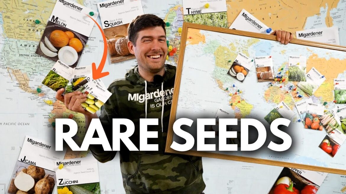 MIgardener: This Might Be The BEST Garden Theme We Have Ever Had This Might Be The BEST Garden Theme We Have Ever Had