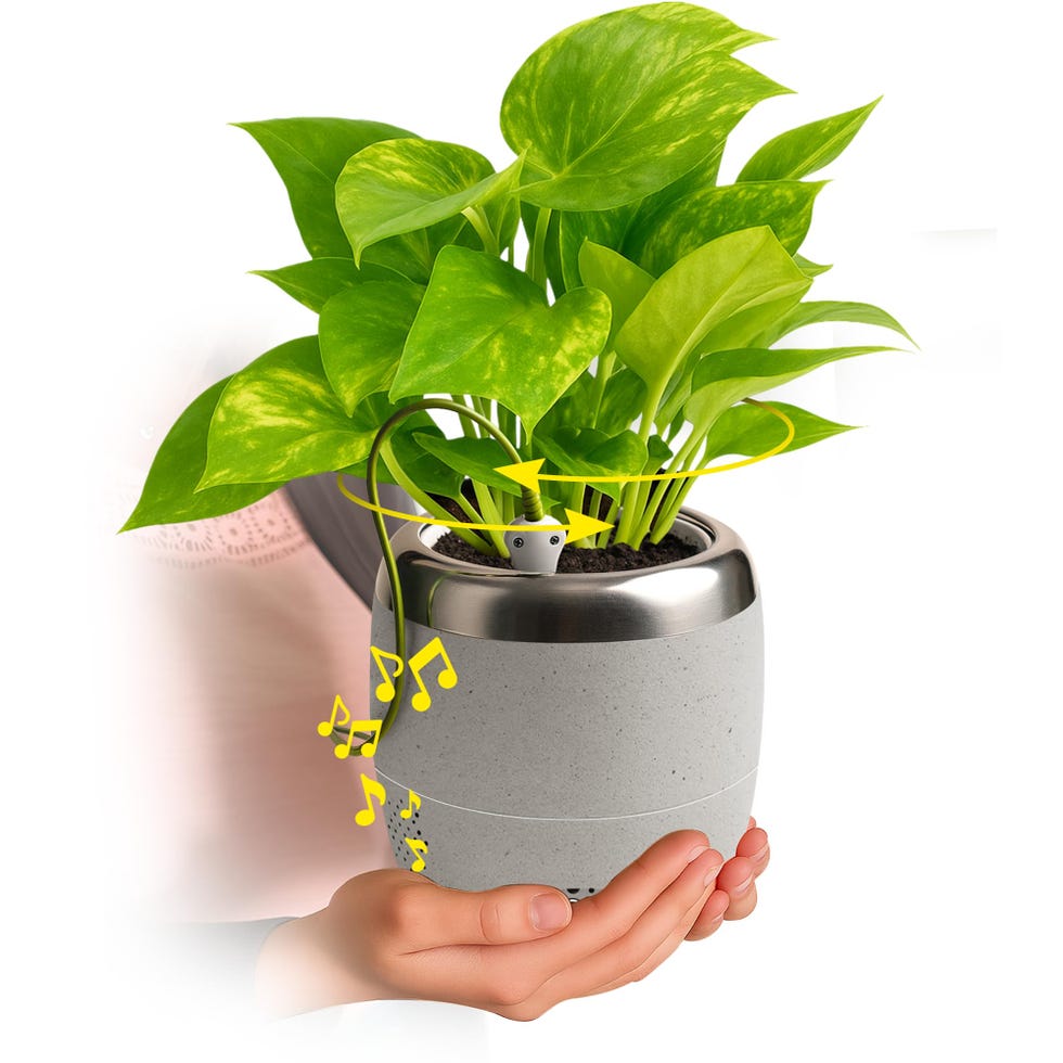 Smart Planter Smart Planter