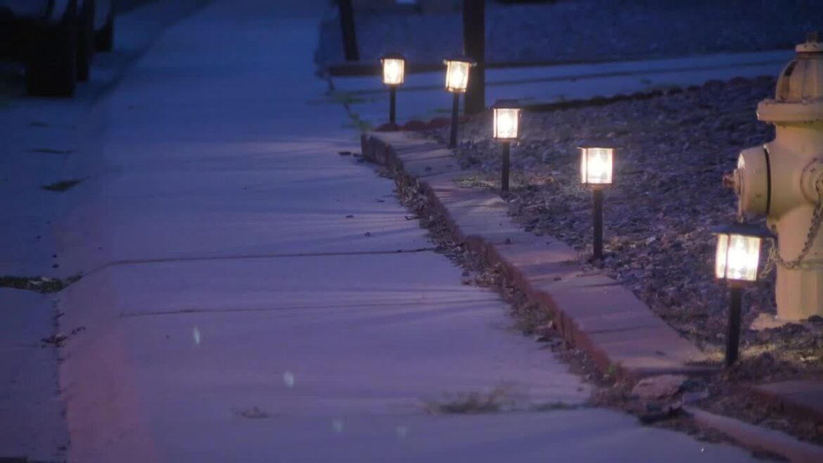 Proper lighting can make your backyard landscape pop