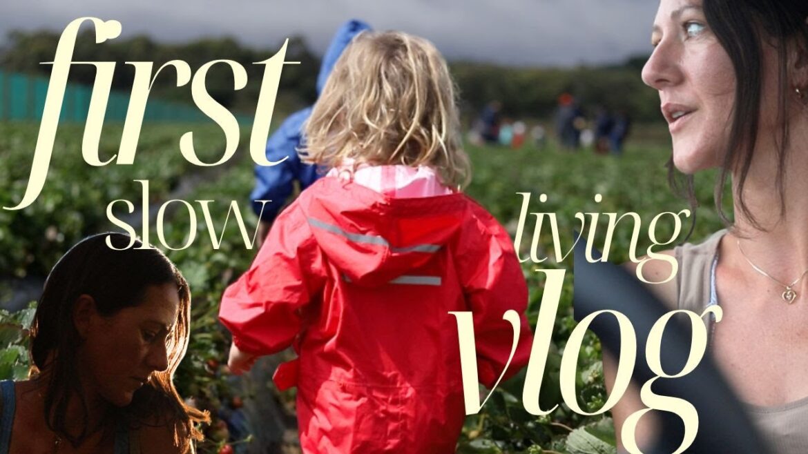 Australian Mum’s Slow Living Journey: Garden Plans Begin! Australian Mum's Slow Living Journey: Garden Plans Begin!