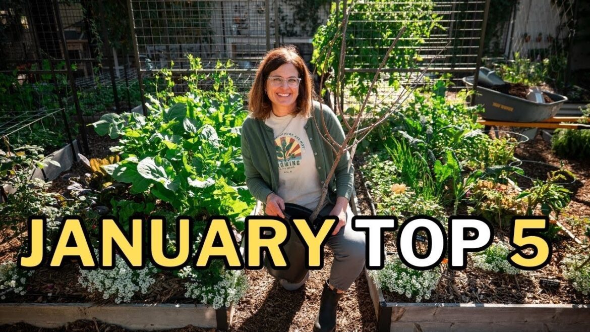 CROPS & TASKS: What to PLANT & DO in JANUARY (Mild Winter Climates) CROPS & TASKS: What to PLANT & DO in JANUARY (Mild Winter Climates)