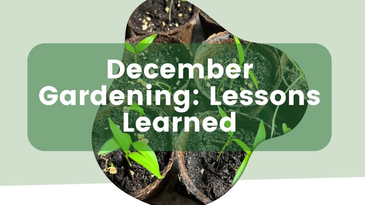 December Gardening: Lessons Learned, Planning & Practical Tips for Next Season December Gardening: Lessons Learned, Planning & Practical Tips for Next Season