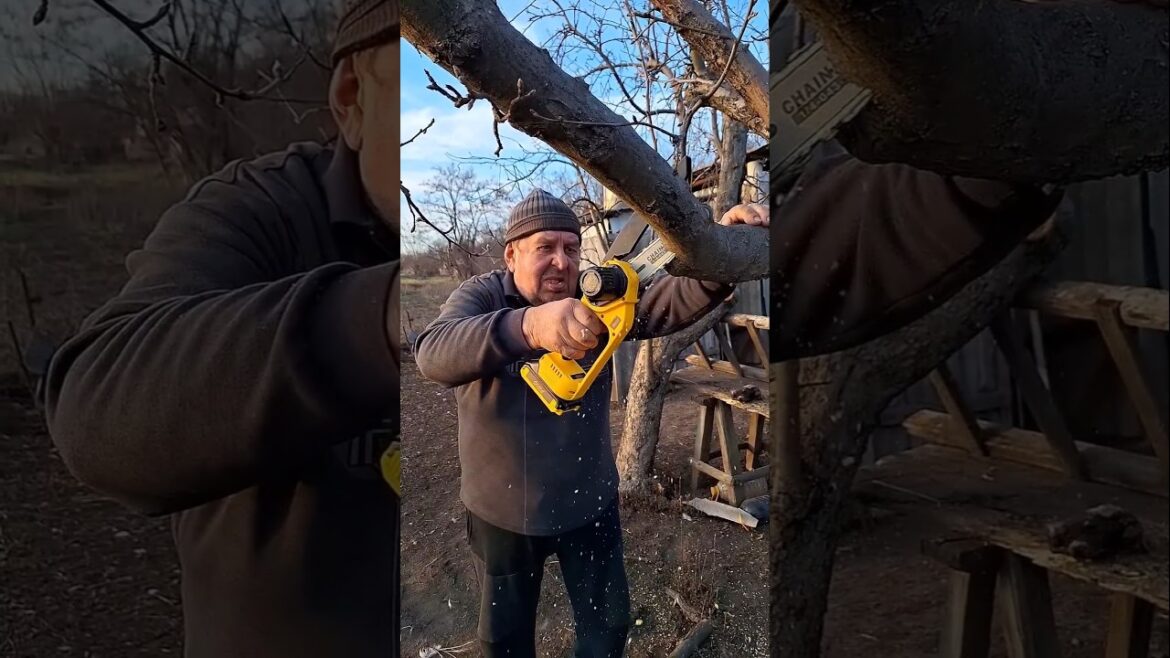 Proper Pruning of Garden Trees #diyprojects #woodworking #chainsaw #garden #gardening #gardeningtips Proper Pruning of Garden Trees #diyprojects #woodworking #chainsaw #garden #gardening #gardeningtips