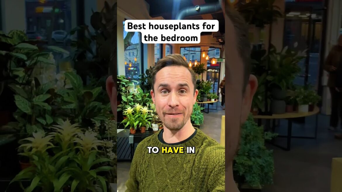 Best houseplants for the bedroom #gardening