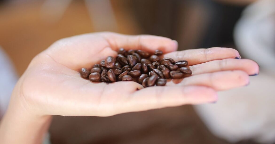 UK households told to put coffee grounds in gardens in January Daily Mirror