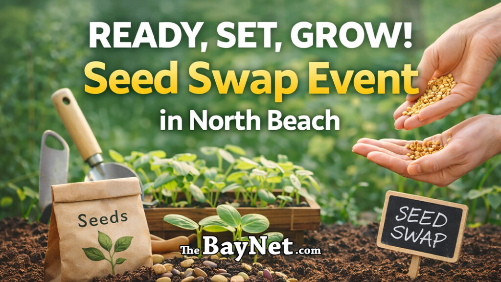 Ready, Set, Grow: Gardeners Can Exchange Seeds At This North Beach Event