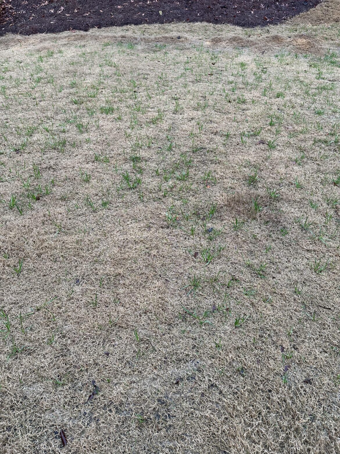 How to deal with this?