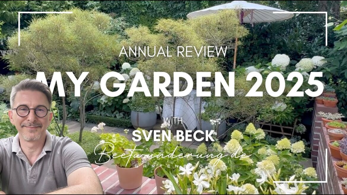 Garden / Garten: beetwunderung.de / Annual review 2025 / Jahresrückblick 2025 – Staudengarten Garden / Garten: beetwunderung.de / Annual review 2025 / Jahresrückblick 2025 - Staudengarten