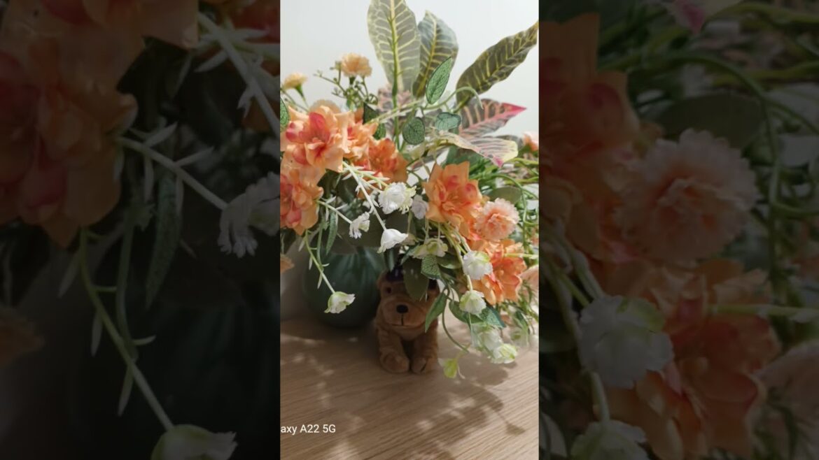 Beautiful 😍 Cutie SUBSCRIBE  #ytshorts #trends