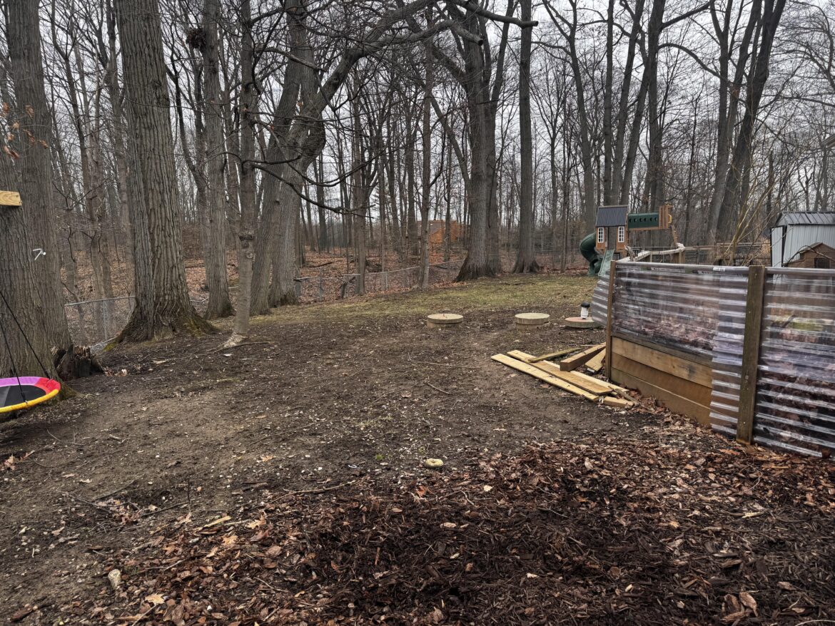 How can I get grass to grow in this mess? I need an adult!