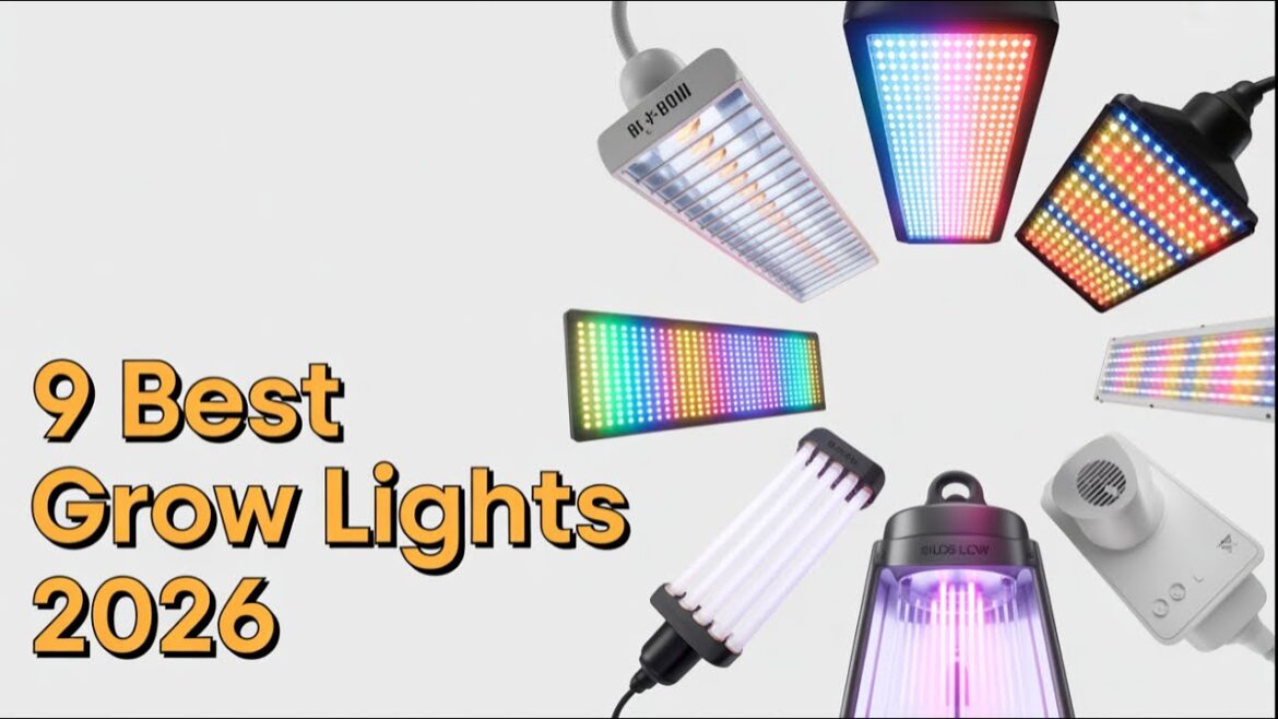 Top 9 Best Grow Lights of 2026