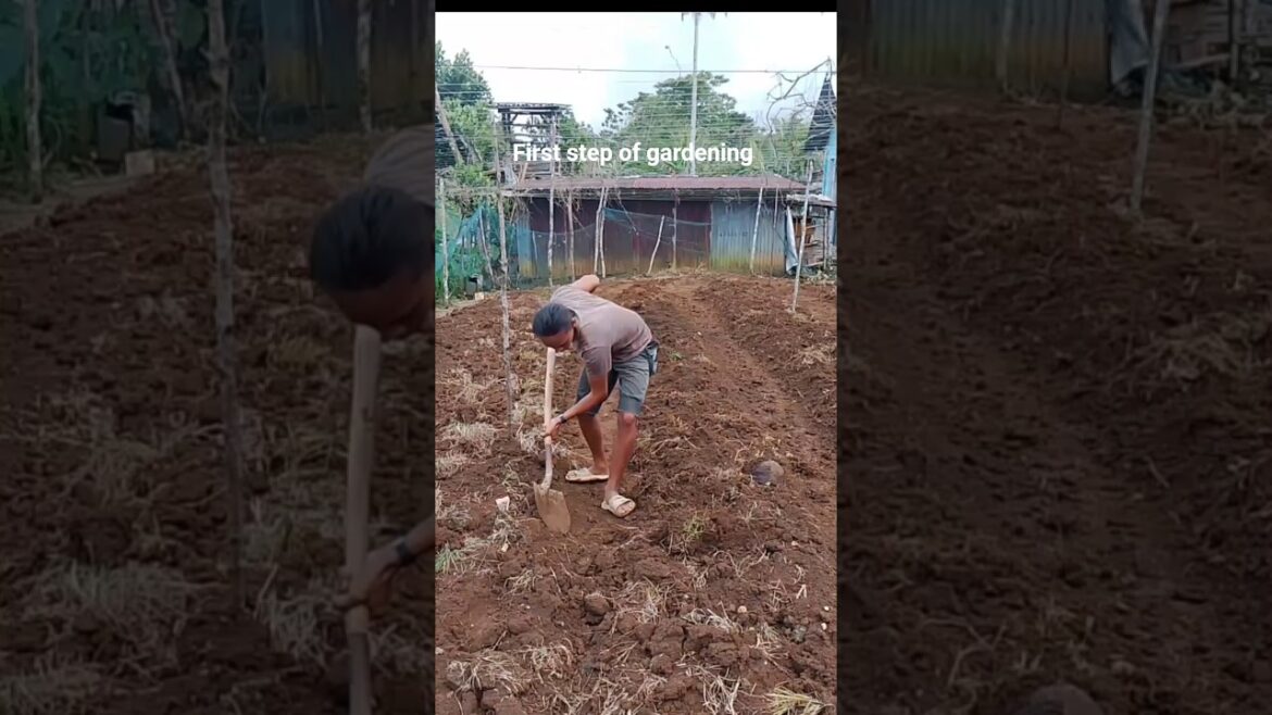 First step of gardening.    #backyard garden