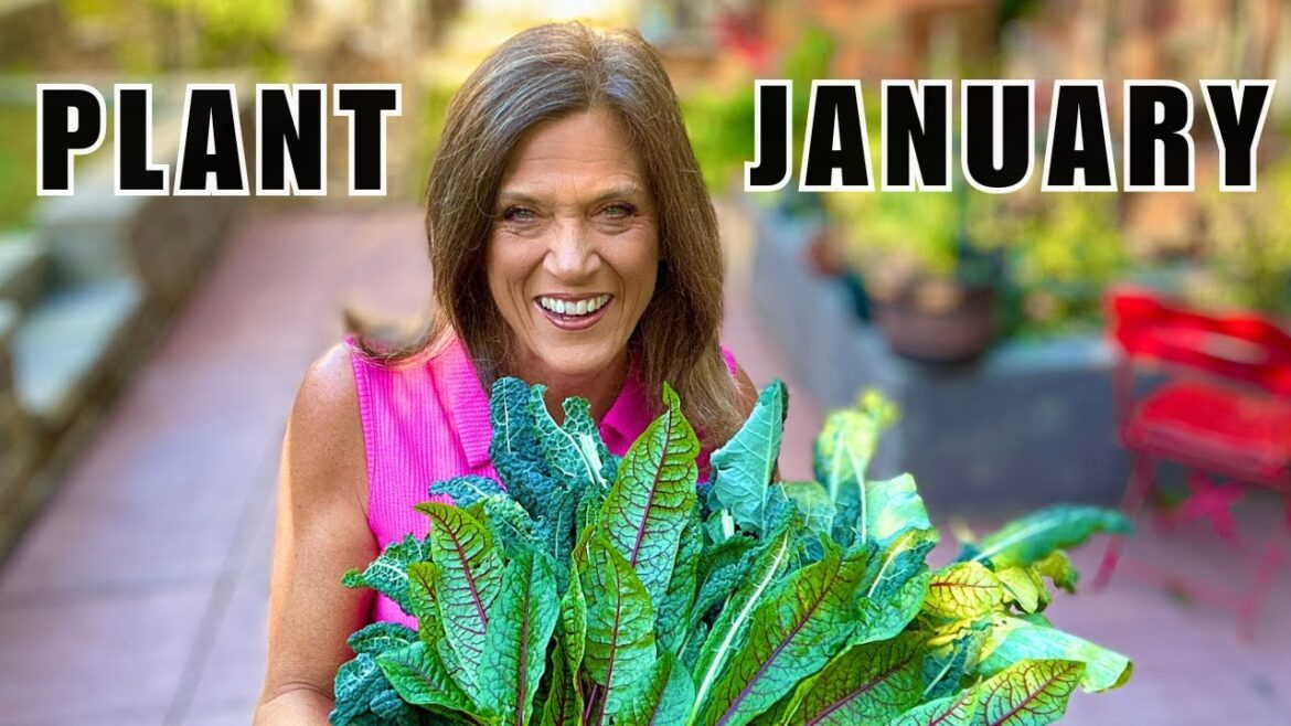 16 January Must-Plant Vegetables (So You’re Always Harvesting)