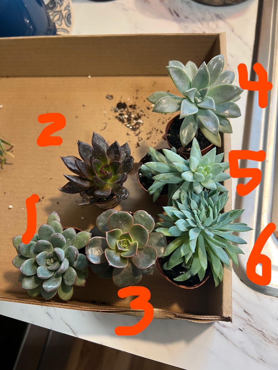 ID requests, please