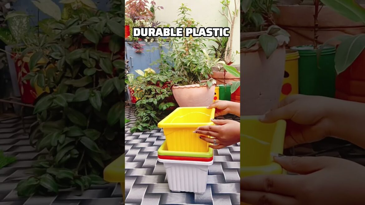 Meesho Veggies & Flower Pot 🌱| Affordable Planter for Home & Balcony Garden #flowers #garden #plants Meesho Veggies & Flower Pot 🌱| Affordable Planter for Home & Balcony Garden #flowers #garden #plants