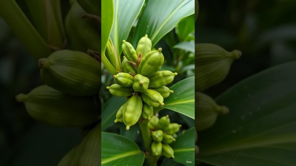 😱 Ye Dekha Kya? End Tak Dekhna! #shorts