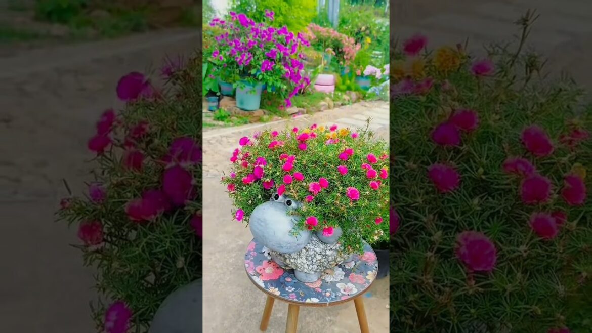 Portulaca Paradise Found 🪴🌸 Flower Arrangement For Home #gardening #flower #garden #youtube #shorts