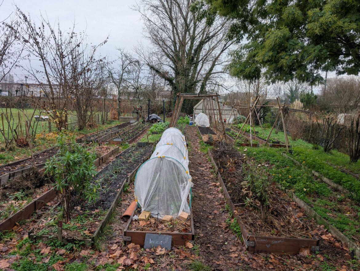 Composting in a community garden Composting in a community garden