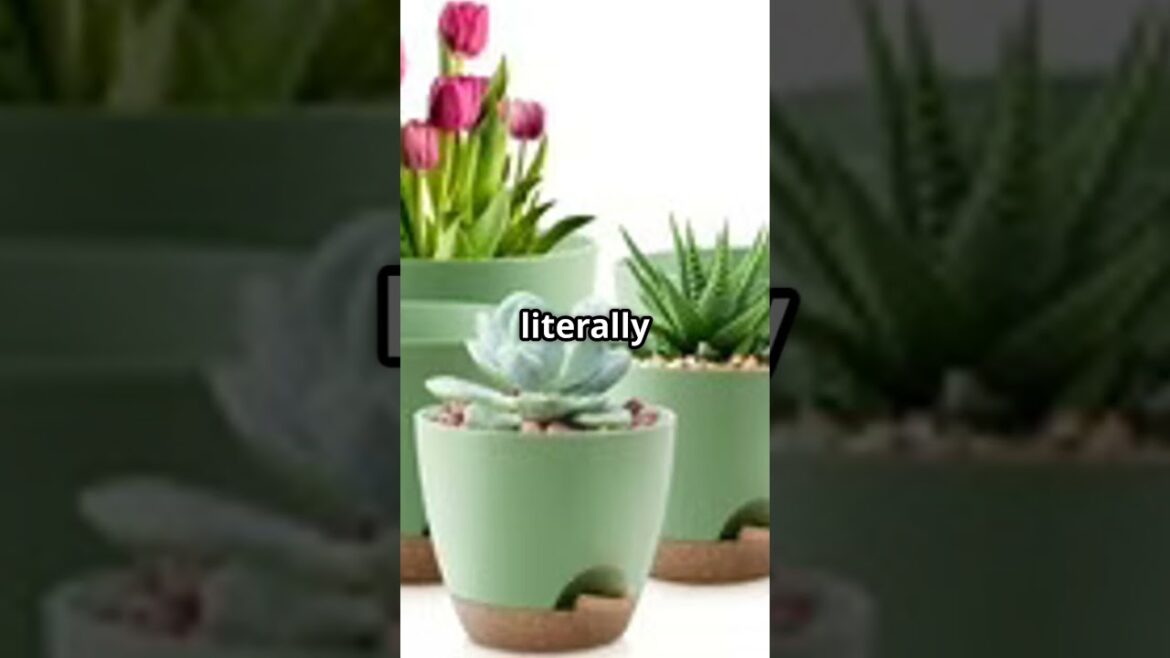 🛑 STOP Using Tiny Pots! (Do This Instead) #containergardeningtips #containergardening