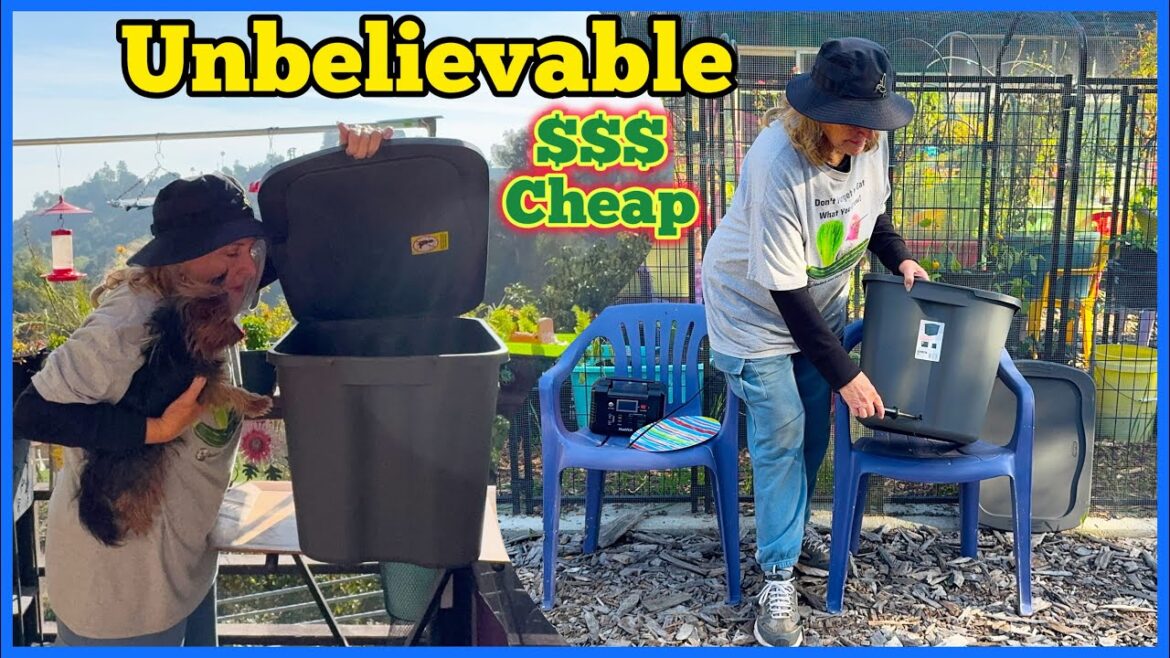 Best Price for Container Gardening EASY Raised Bed Garden Prepping NOW for Growing Season Vegetables