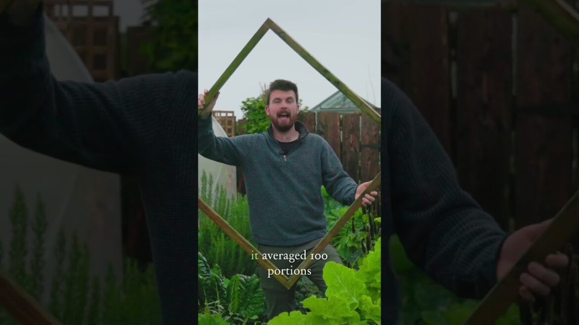 You don't need lots of land to grow lots of food! #gardening