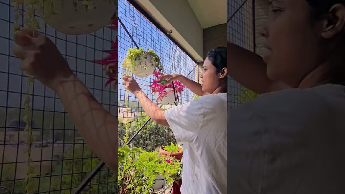 Relaxing Moments of a Hobby Gardener #HobbyGardener #RelaxingGardening #GardenVibes  #HomeGarden