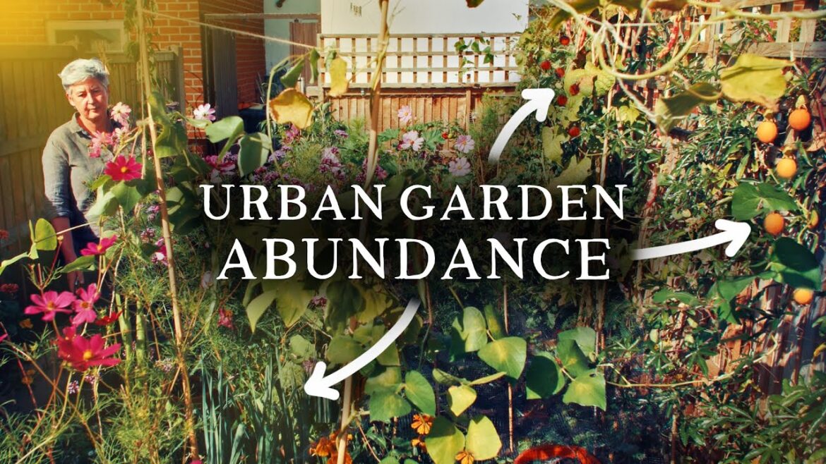 The Smallest Vegetable Garden I've Ever Seen - And it's Productive!