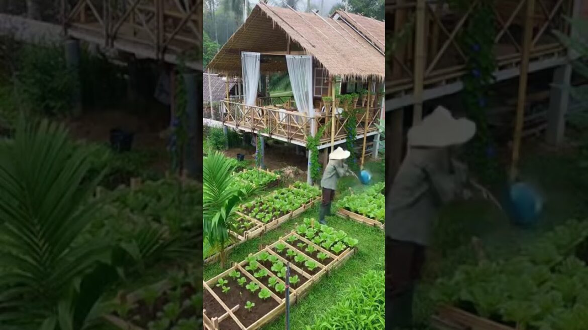 Front Yard to Food Forest: A Total Garden Makeover #shorts