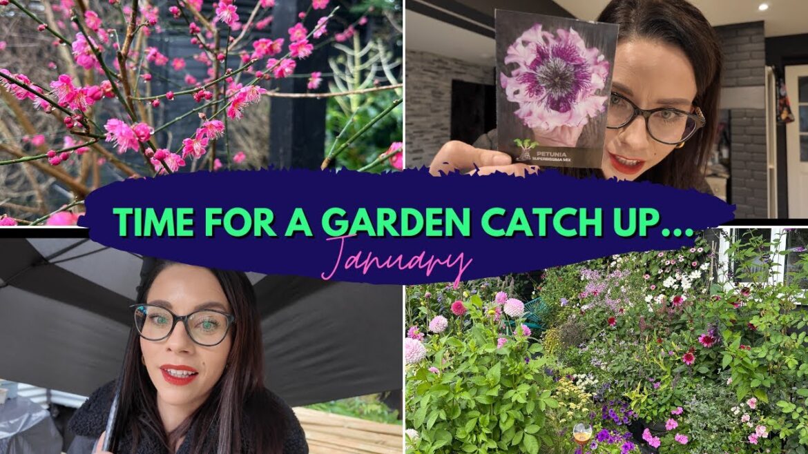 Garden Catch Up In January...