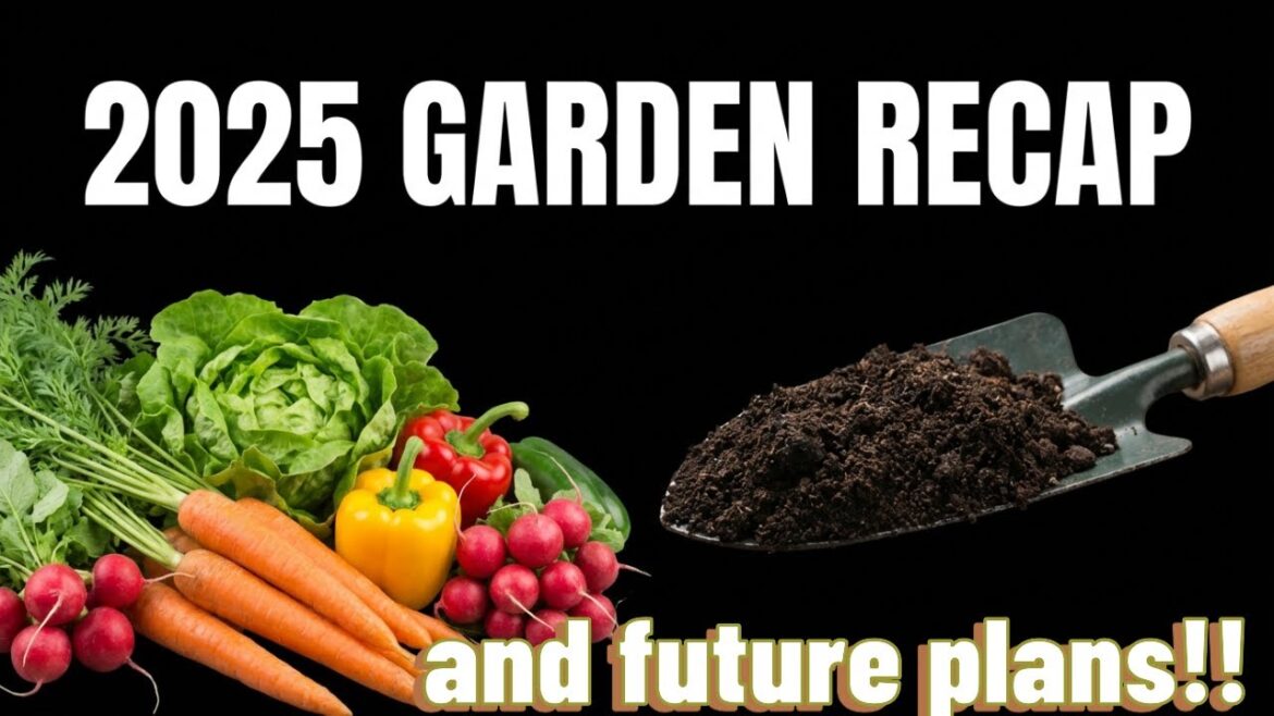 Garden recap and future plans for the homestead! Garden recap and future plans for the homestead!