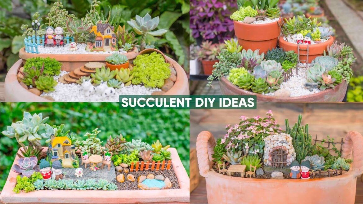 4 Mini Succulent Garden Ideas You Can DIY Today! (Easy Tiny Landscapes) 4 Mini Succulent Garden Ideas You Can DIY Today! (Easy Tiny Landscapes)