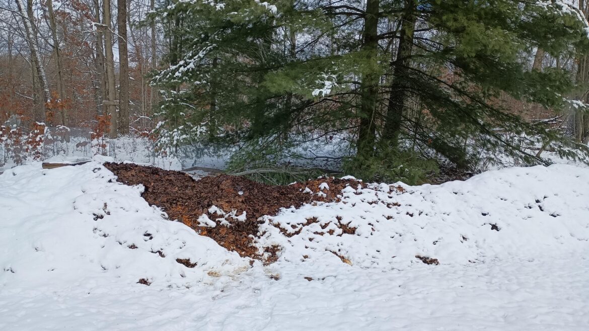 Submit your /r/composting banner image! Submit your /r/composting banner image!