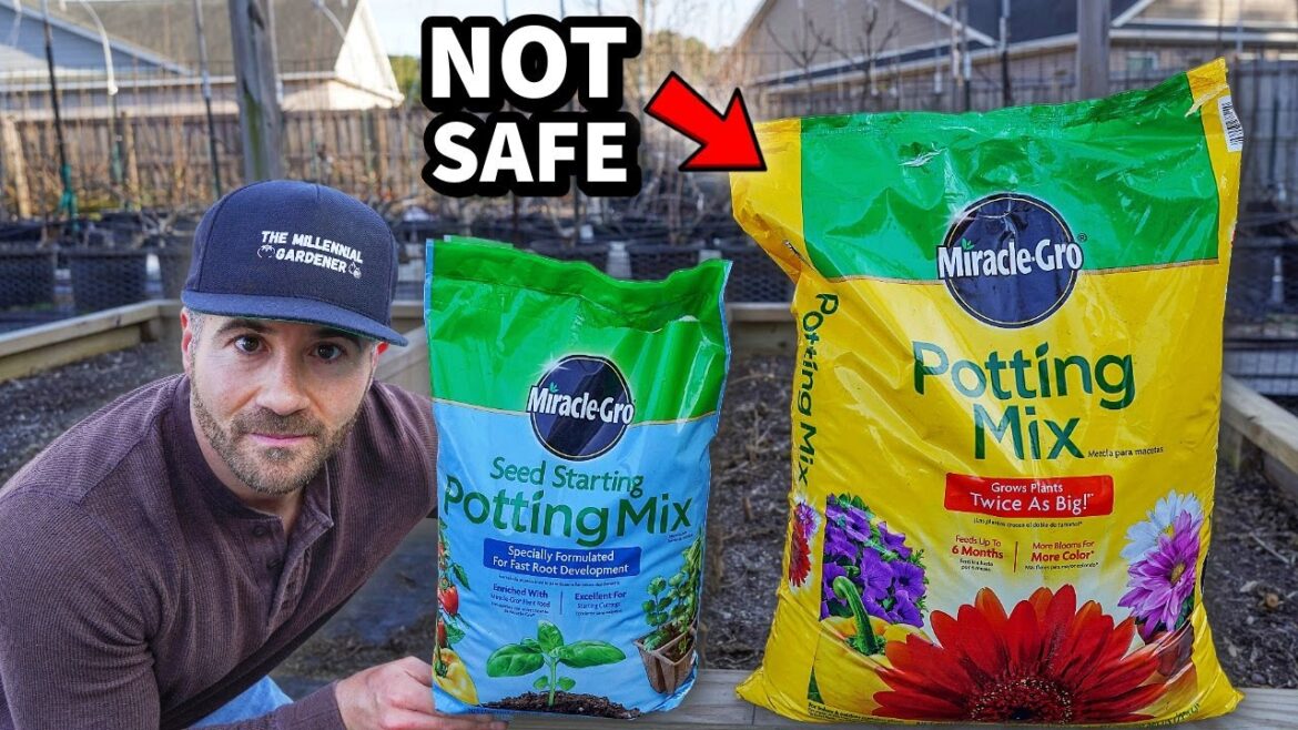 Potting Soil Is NOT SAFE To Start Seeds. STOP Using It! Potting Soil Is NOT SAFE To Start Seeds. STOP Using It!
