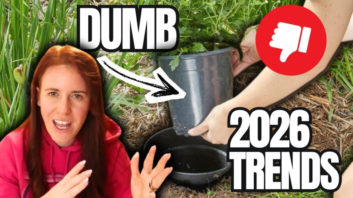 The WORST Garden Trends of 2026 (Stop Wasting Your Time & Money) The WORST Garden Trends of 2026 (Stop Wasting Your Time & Money)