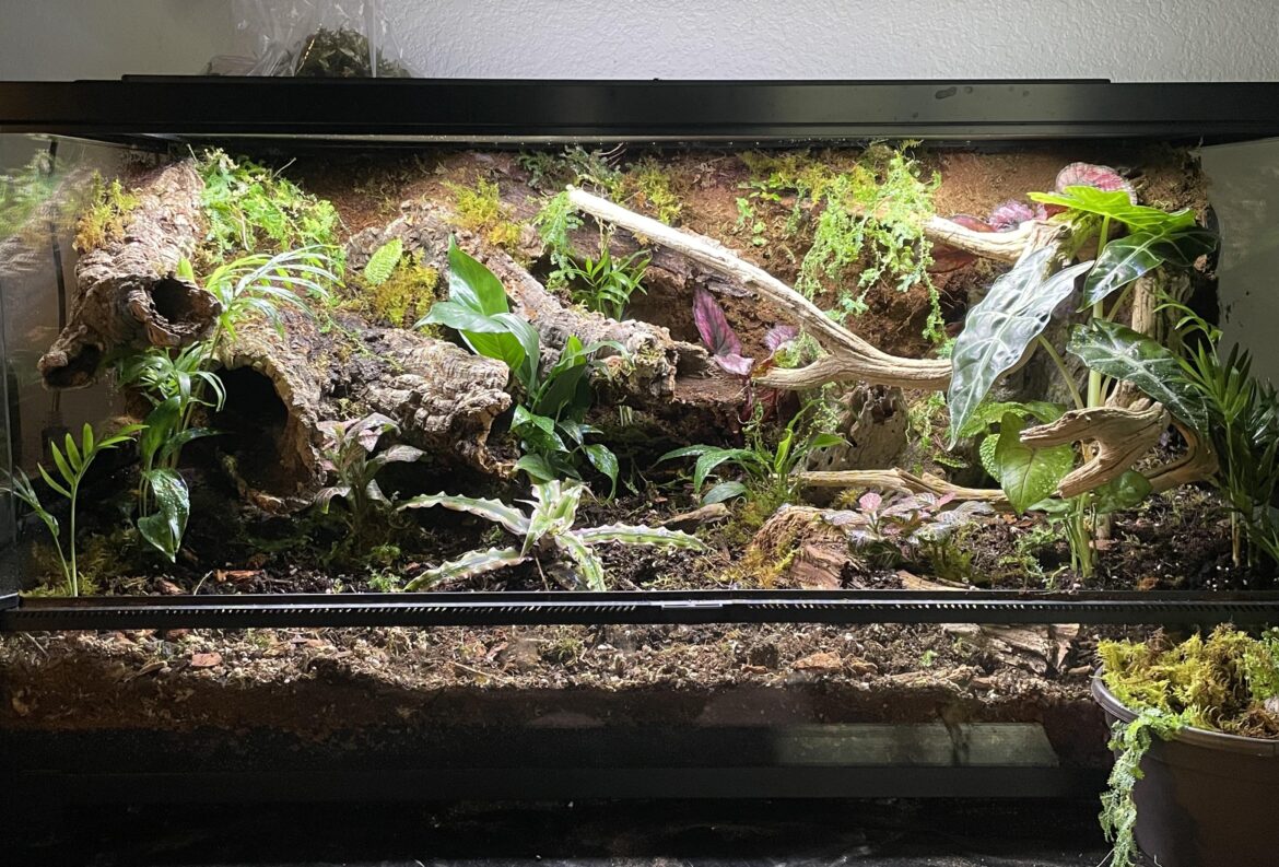 Finished with most of the plants