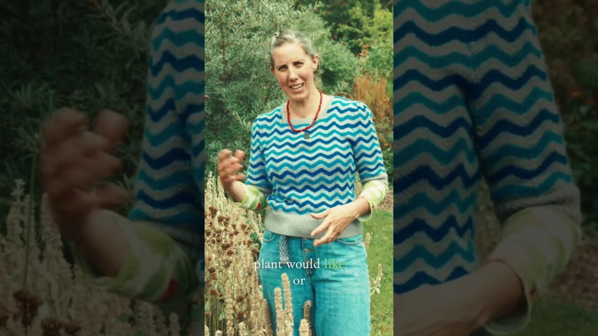 Become a Rebel Gardener (Ft. Pippa Chapman) #gardeningideas