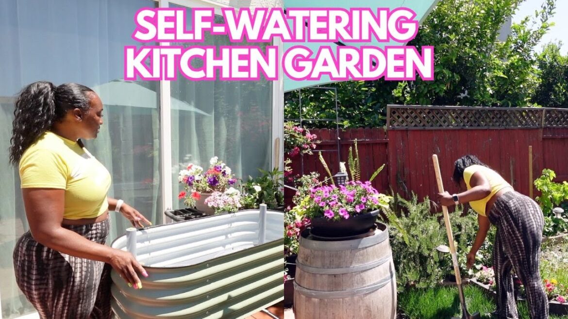 DIY PATIO KITCHEN GARDEN SETUP VEGO | BACKYARD MAKEOVER | VEGETABLE CONTAINER GARDEN DIY PATIO KITCHEN GARDEN SETUP VEGO | BACKYARD MAKEOVER | VEGETABLE CONTAINER GARDEN