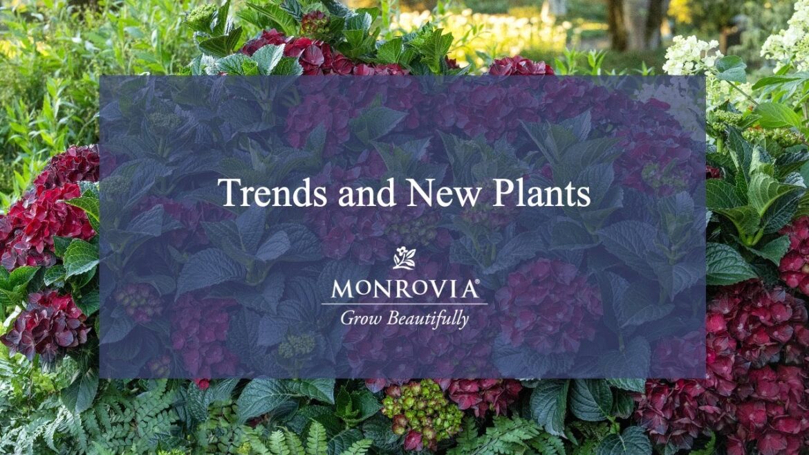 New Plants and Garden Trends for 2026 New Plants and Garden Trends for 2026