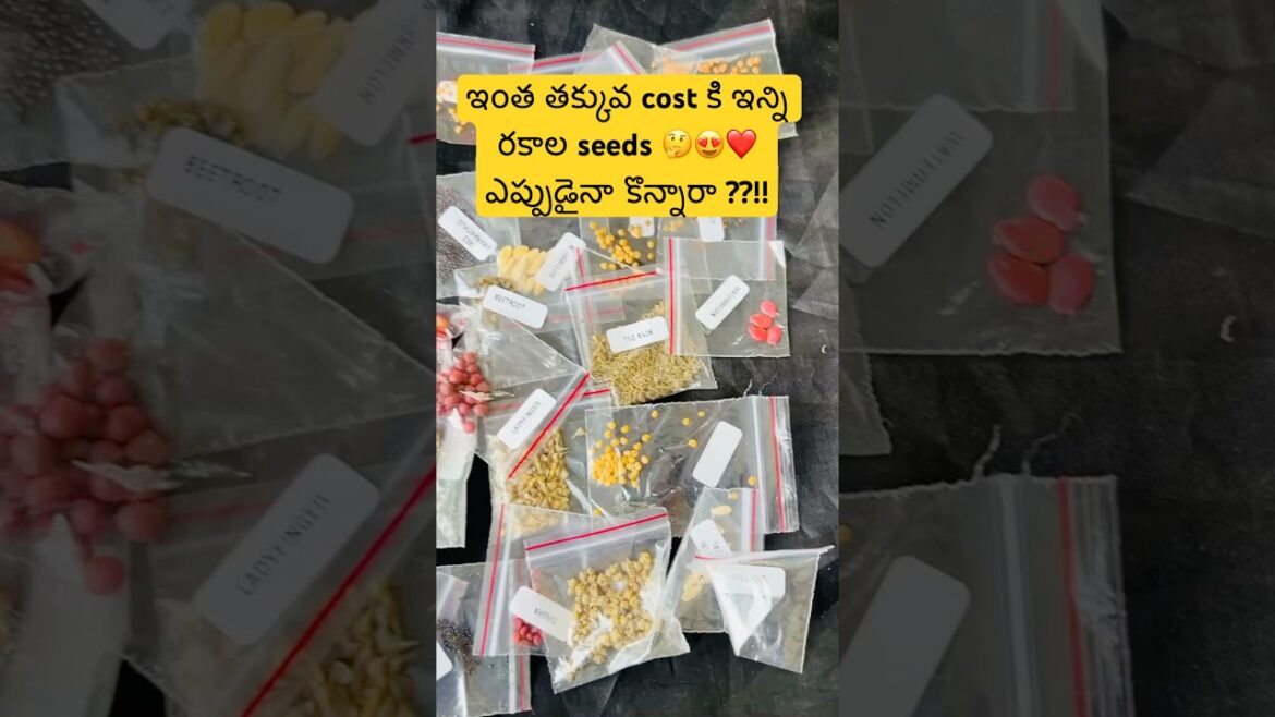 #vegetablegardening #ytshorts #gardening#ytviral#gardenplants #gardeningtips #vegetablegardening #ytshorts #gardening#ytviral#gardenplants #gardeningtips