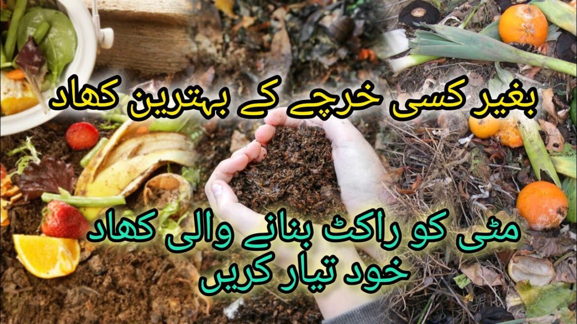 How To Make Kitchen Waste Compost |Free Of Cost Compost For Plants How To Make Kitchen Waste Compost |Free Of Cost Compost For Plants