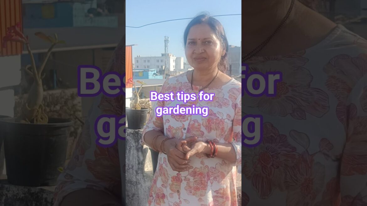 Friend ke Garden Visit 🌿 | Plants ke Liye Best Tips 💚 #gardening #youtube #trending