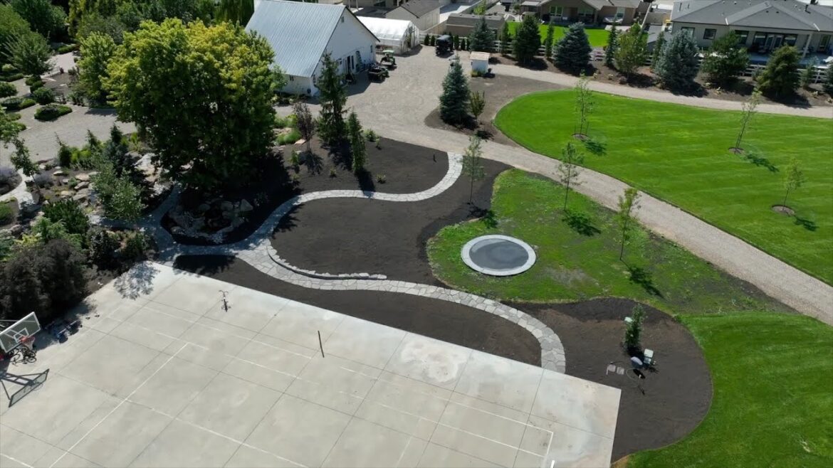 Garden Answer: A Look Back at Everything We Did in 2025! 🌳🌸🌲 A Look Back at Everything We Did in 2025! 🌳🌸🌲