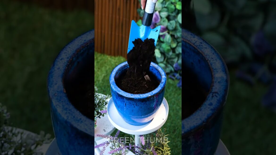 Future-Proof Your Garden: Climate-Resilient Plants and Smart Water Systems