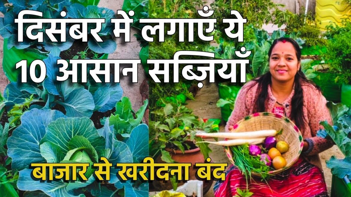 🌱 दिसंबर में कौन-कौन सी सब्ज़ियाँ लगाएँ | Winter Vegetable Gardening Tips ❄️
